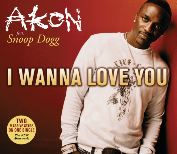 makna-lagu-i-wanna-love-you-akon